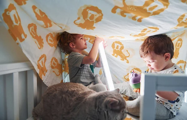 İki küçük çocuk dinleniyor ve battaniyenin altında birlikte eğleniyorlar. Kedi uzanıyor..