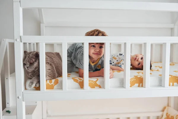 Two Little Boys Resting Have Fun Indoors Bedroom Together Cat — Stock Photo, Image