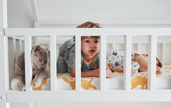 Dois Meninos Descansando Divertindo Dentro Quarto Juntos Gato Sentado Perto — Fotografia de Stock