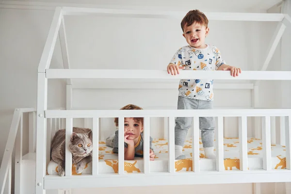 Two Little Boys Resting Have Fun Indoors Bedroom Together Cat — Stock Photo, Image