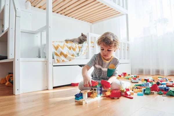 かわいい男の子が座って プラスチック製の建設セットで寝室で屋内で楽しみを持っています 猫を背景に — ストック写真