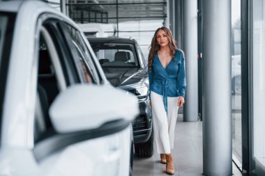 Positive woman in blue shirt walks near brand new car. In auto salon.