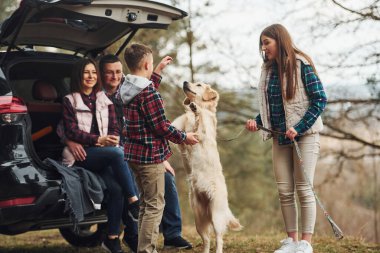 Mutlu bir aile ormanda, modern arabalarının yanında oturmuş köpekleriyle eğleniyor..