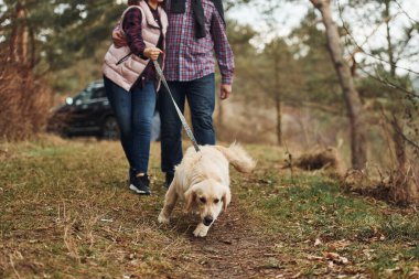 Happy mature couple have a walk with their dog in autumn or spring forest near modern car.