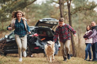 Kız ve erkek kardeş öne doğru koşar. Mutlu aile, köpekleriyle ormanda, modern arabanın yanında eğleniyor..