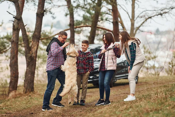Familia Feliz Divertirse Con Perro Activo Cerca Coche Moderno Aire —  Fotos de Stock