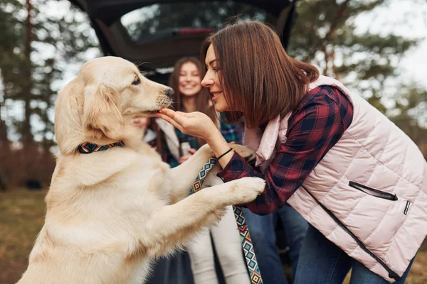 Familia Feliz Divertirse Con Perro Cerca Coche Moderno Aire Libre — Foto de Stock