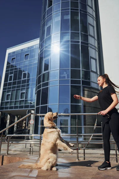 Genç, pozitif bir kadın iş binası yakınlarında dışarıda dolaşırken köpeğiyle eğleniyor ve numaralar yapıyor..