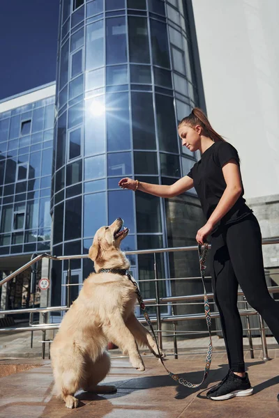 Young positive woman have fun and doing tricks with her dog when have a walk outdoors near business building.