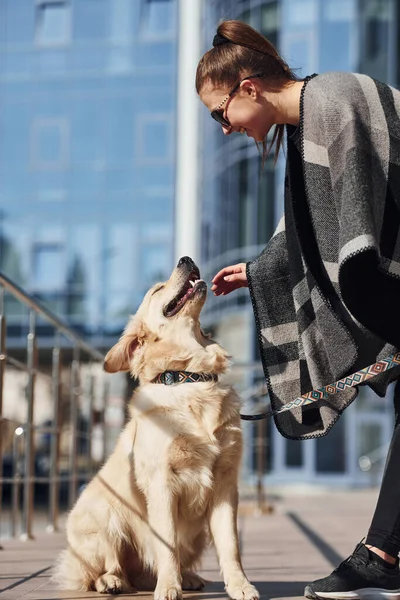 Young Positive Woman Have Fun Her Dog Have Walk Outdoors — ストック写真
