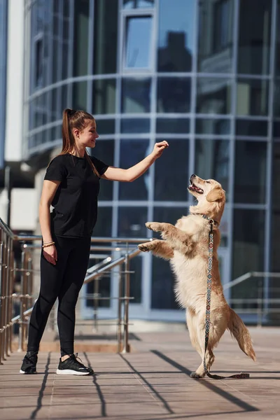 Young positive woman have fun and doing tricks with her dog when have a walk outdoors near business building.