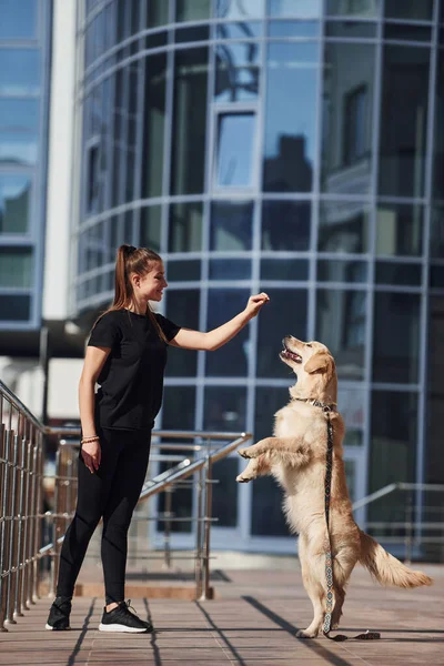 Young Positive Woman Have Fun Doing Tricks Her Dog Have — Stock fotografie