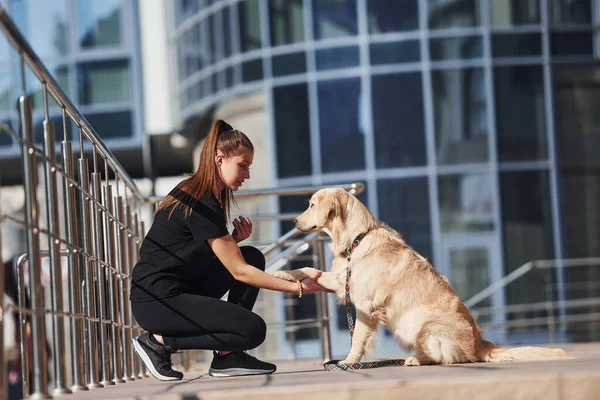Genç, pozitif bir kadın iş binası yakınlarında dışarıda dolaşırken köpeğiyle eğleniyor ve numaralar yapıyor..