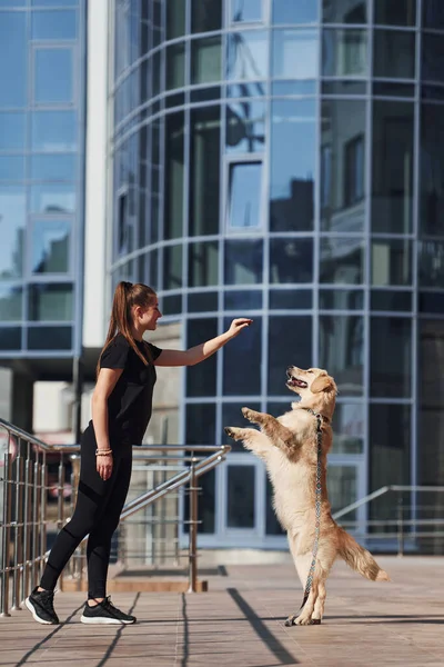 Young positive woman have fun and doing tricks with her dog when have a walk outdoors near business building.