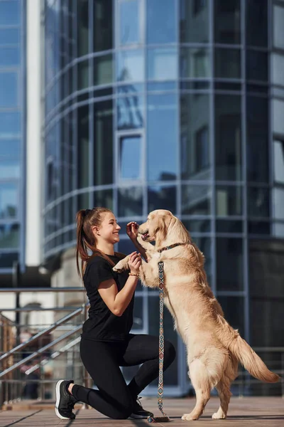 Genç, pozitif bir kadın iş binası yakınlarında dışarıda dolaşırken köpeğiyle eğleniyor ve numaralar yapıyor..