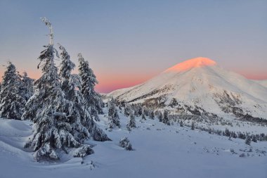 Majestic Petros dağı güneş ışığıyla aydınlandı. Gündüz vakti karla kaplı ağaçlarla büyüleyici kış manzarası.