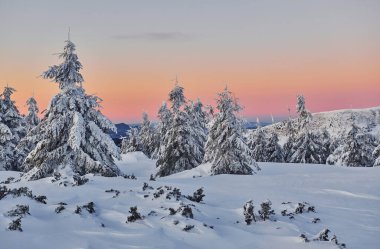 Snow covers lot of ground and trees. Magical winter landscape.