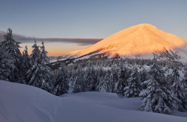 Majestic Petros dağı güneş ışığıyla aydınlandı. Gündüz vakti karla kaplı ağaçlarla büyüleyici kış manzarası.