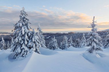 Kar birçok yeri ve ağaçları kaplıyor. Sihirli kış manzarası.