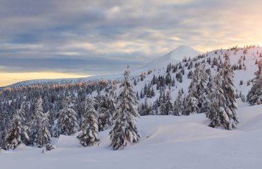 Cloudy sky. Magical winter landscape with snow covered trees at daytime.
