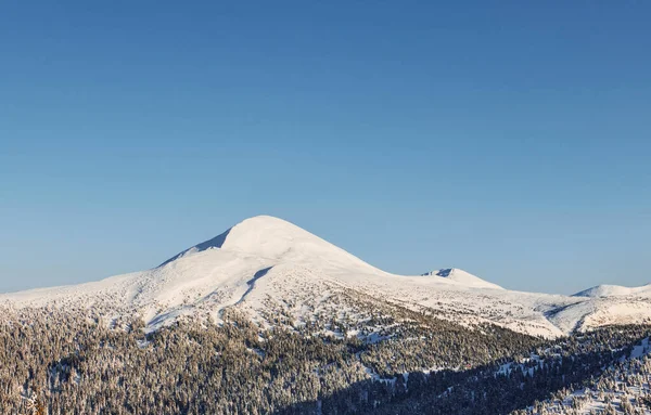 Der Majestätische Petros Berg Sonnenlicht Magische Winterlandschaft Mit Schneebedeckten Bäumen — Stockfoto