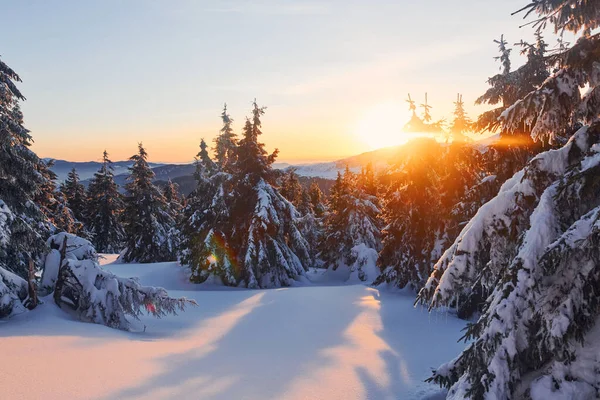 Heldere Zonnestraal Gaat Van Achteren Van Majestueuze Berg Magisch Winterlandschap — Stockfoto