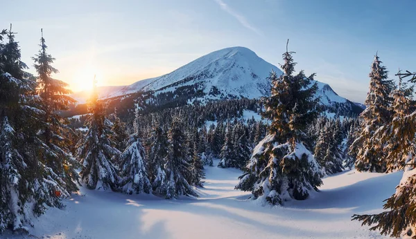 Majestic Petros Mountain Illuminated Sunlight Magical Winter Landscape Snow Covered — Stock fotografie