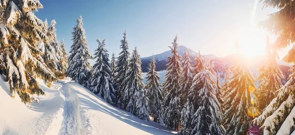 Majestoso Petros Montanha Iluminada Pela Luz Solar Paisagem Mágica Inverno — Fotografia de Stock