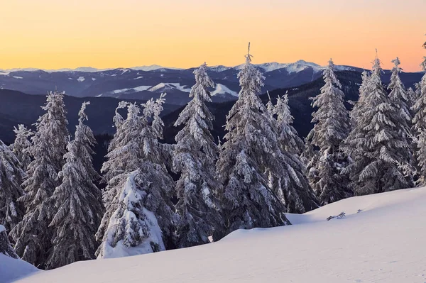 Mooie Majestueuze Bergen Aan Horizon Magisch Winterlandschap Met Overdag Besneeuwde — Stockfoto