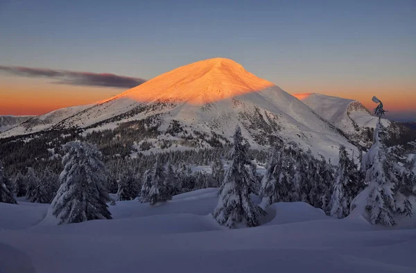 Majestic Petros dağı güneş ışığıyla aydınlandı. Gündüz vakti karla kaplı ağaçlarla büyüleyici kış manzarası.