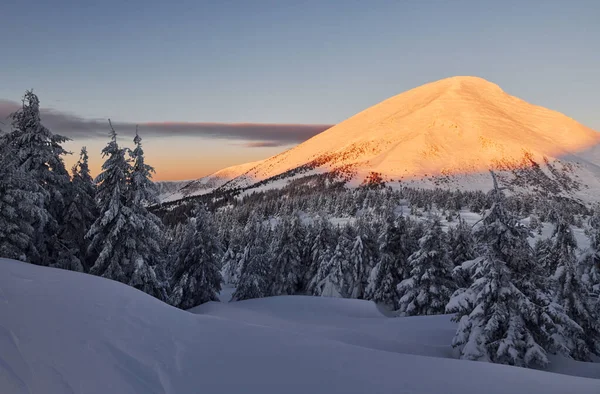 Majestic Petros dağı güneş ışığıyla aydınlandı. Gündüz vakti karla kaplı ağaçlarla büyüleyici kış manzarası.