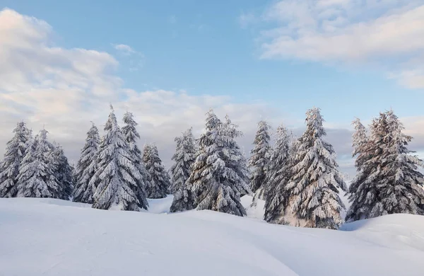 Céu Nublado Paisagem Mágica Inverno Com Árvores Cobertas Neve Durante — Fotografia de Stock