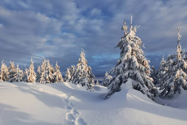 Céu Nublado Paisagem Mágica Inverno Com Árvores Cobertas Neve Durante — Fotografia de Stock