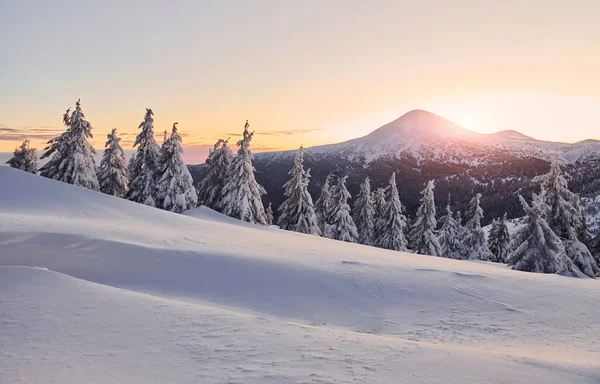 Majestueuze Petros Berg Verlicht Door Zonlicht Magisch Winterlandschap Met Overdag — Stockfoto
