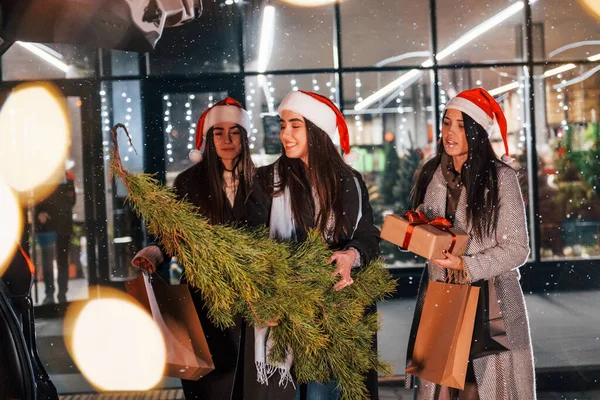 モミを持ってる 3人の陽気な女性が屋外で一緒にクリスマス休暇を過ごす 新年の概念 — ストック写真