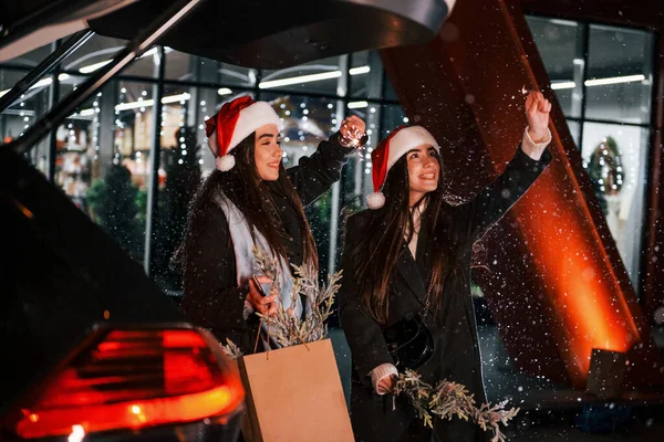 車の後ろのトランクの近くに立って開いた 幸せな姉妹の双子は屋外で一緒にクリスマス休暇を過ごします 新年の概念 — ストック写真