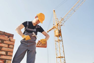 Holding brick and using hammer. Construction worker in uniform and safety equipment have job on building.