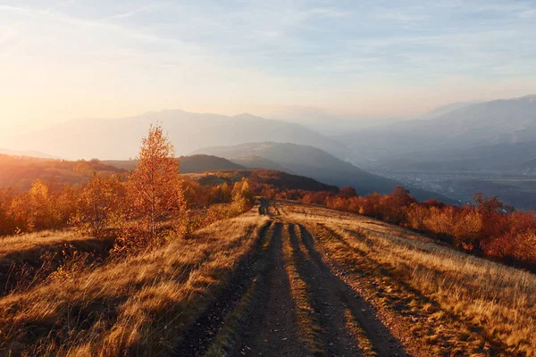 Majestátní Krajina Podzimních Stromů Hor Obzoru — Stock fotografie