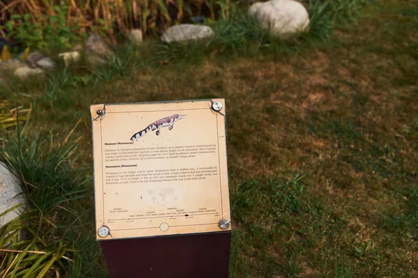 博物館公園の屋外恐竜に関する情報と表 — ストック写真
