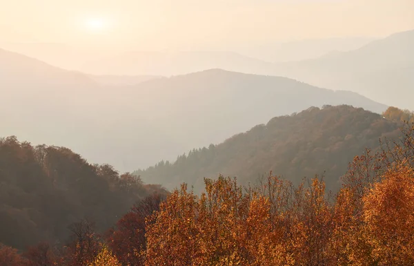 Majestic Landscape Autumn Trees Mountains Horizon — стоковое фото