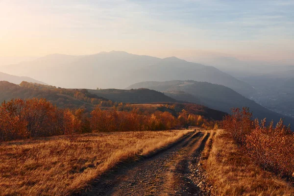 Majestic Landscape Autumn Trees Mountains Horizon — Stock fotografie