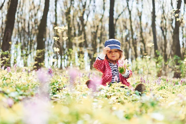 Glückliches Kleines Mädchen Mit Blauem Hut Spazieren Tagsüber Frühlingswald — Stockfoto
