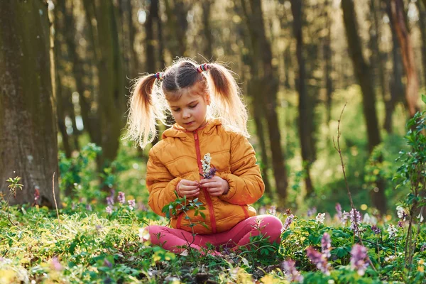 Glückliches Kleines Mädchen Lässiger Kleidung Sitzt Tagsüber Frühlingswald — Stockfoto