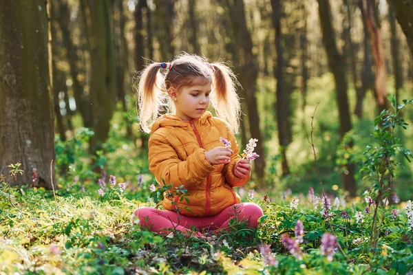 Щаслива Маленька Дівчинка Повсякденному Одязі Сидить Весняному Лісі Вдень — стокове фото