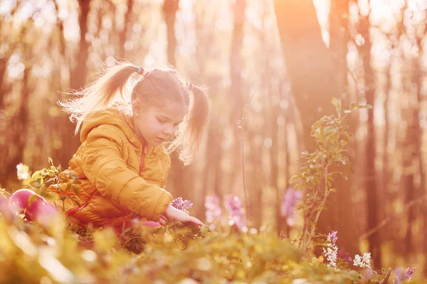 幸せな女の子でカジュアル服で春の森に座って昼間 — ストック写真