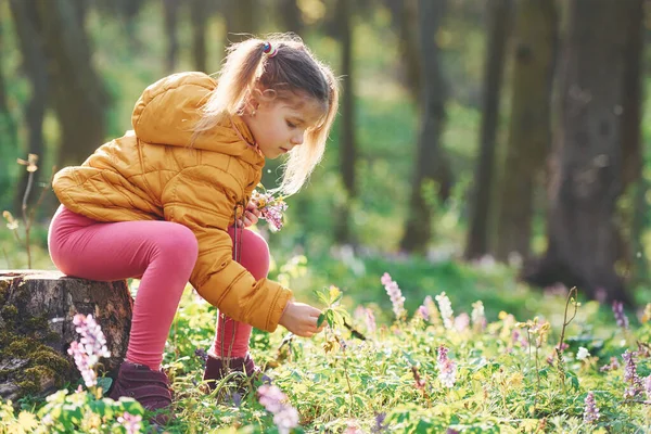 Szczęśliwa Dziewczynka Luźnych Ubraniach Siedzi Wiosennym Lesie Dzień — Zdjęcie stockowe
