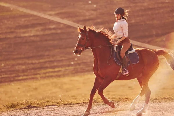 Young Woman Protective Hat Riding Her Horse Agriculture Field Sunny — Stock Photo, Image