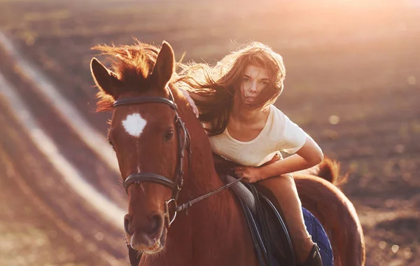 Young Woman Protective Hat Her Horse Agriculture Field Sunny Daytime — Stock Photo, Image