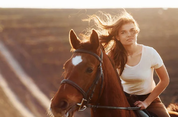Young Woman Protective Hat Her Horse Agriculture Field Sunny Daytime —  Fotos de Stock
