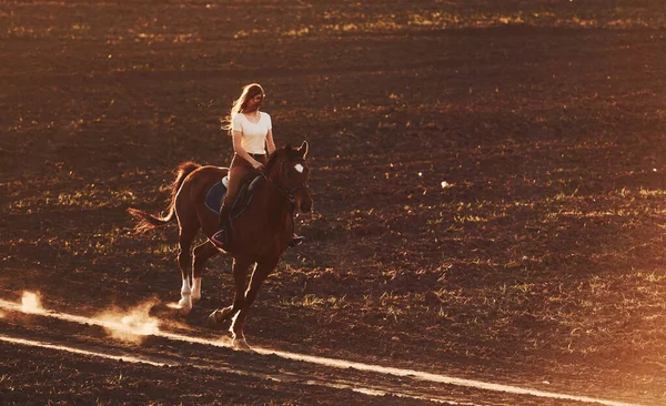 Young Woman Protective Hat Riding Her Horse Agriculture Field Sunny — Stock Photo, Image
